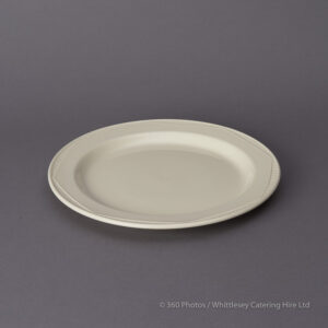 Ivory China Buffet/Dessert Plate 9" (packed in 10s)