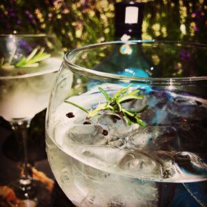 Gin Glassware