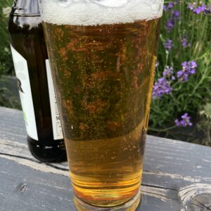 Beer Glassware